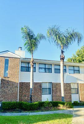 American Tree Experts