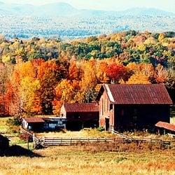 Linda Michetti - Dutchess County Homes