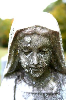 Patrick Reading, Photography