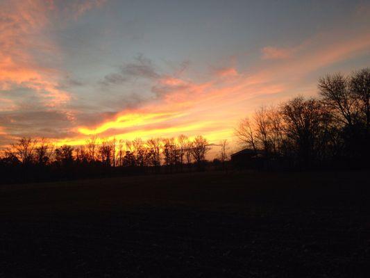 Cotija Mexican Restaurant