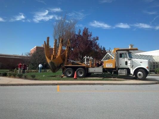 Tri-Color Tree Transplanting and Nursery