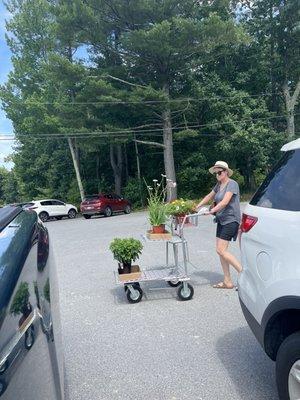 Lake Street Garden Center