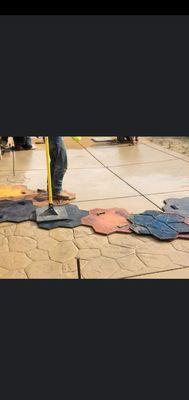 Top Choice Landscaping