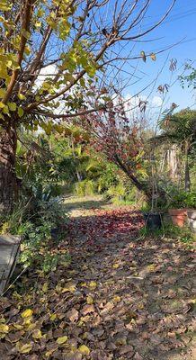 Bonita Nursery & Florists