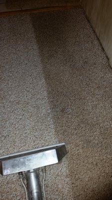 EZ Clean Carpet Care