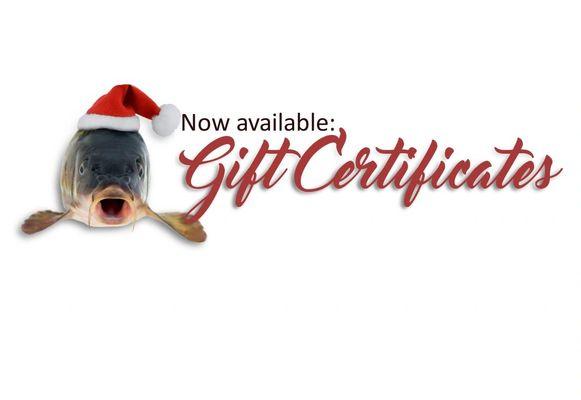 Wilson's Bait & Tackle