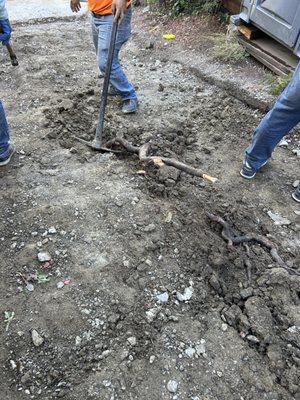 We have demolished the old driveway