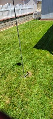 L&L Lawncare & Tree Service