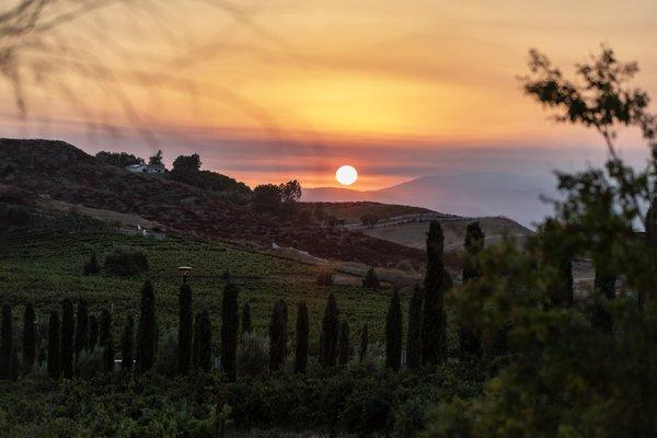 The only thing better than our views is our wine.