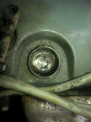 Coyote Auto Truck & Rv