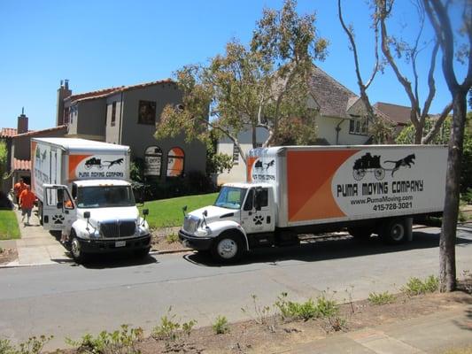 Puma Moving will bring as many trucks as your move needs to move your life forward.