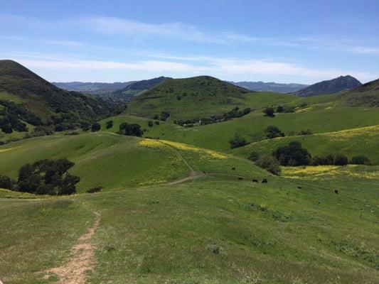 One of the incredible views of the school!