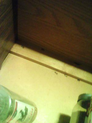 Look at the roaches sCatter its like that in every unit