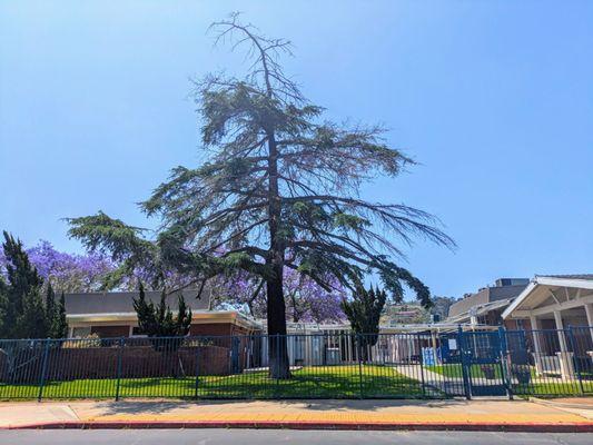 Chase Avenue Elementary School