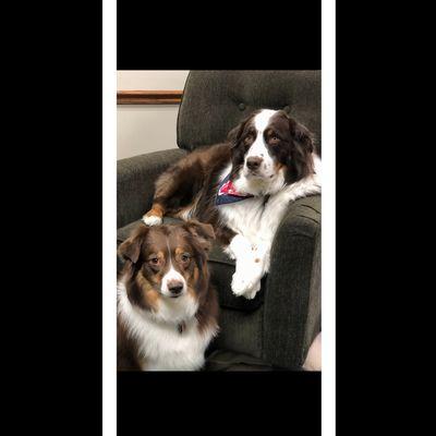 Maryland Plumbing & Heating