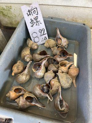 M & P Seafood Market