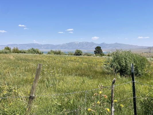 Crowley Lake RV Park