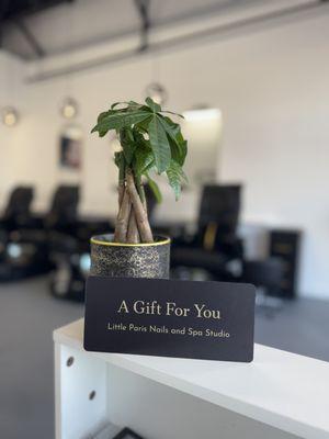 Gift certificate is now available