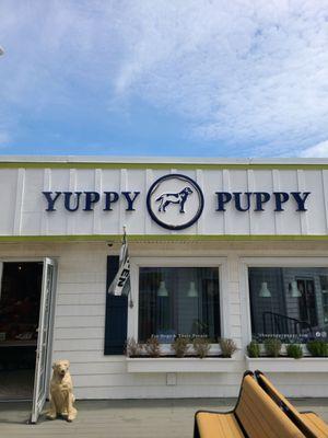 Yuppy Puppy