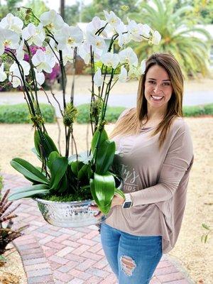 Christy's Island Orchids