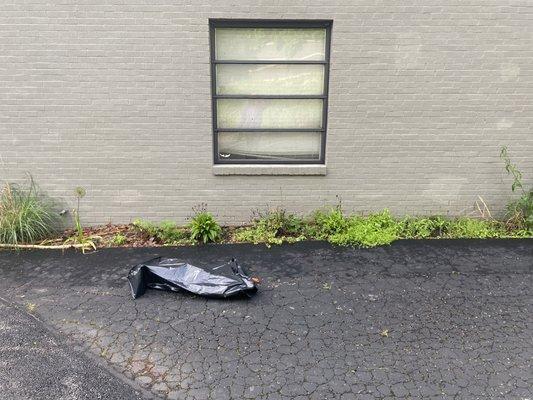 Beauty & Beast Trucking