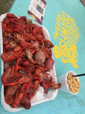 Zydeco and Crawfish Festival