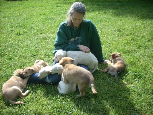 Animal Hospital of South Gorham