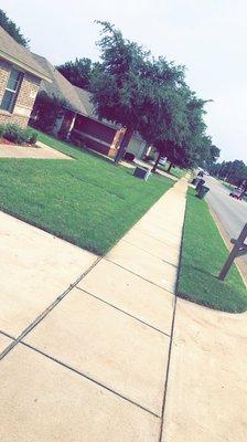 DaLite LawnCare And landscaping