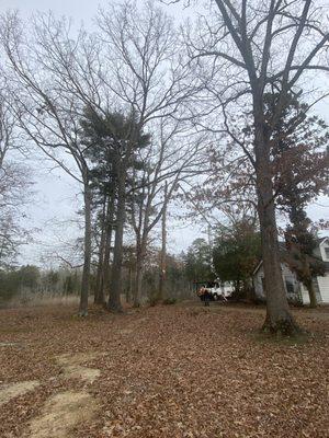 Meinhart's Tree Service