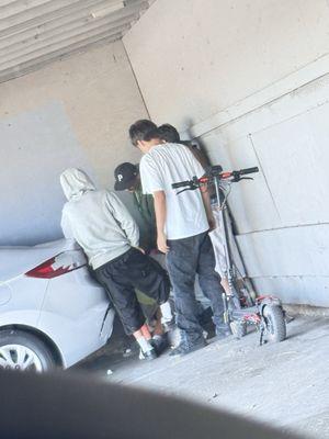 Mediterranean Apartments