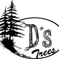 D's Trees