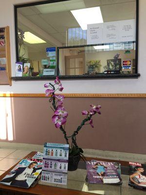 Perfecta Dental Group