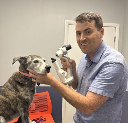 Vision Vets For Pets