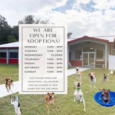 Humane Society of the Nature Coast