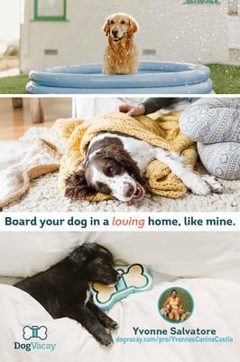 Yvonne's Canine Castle