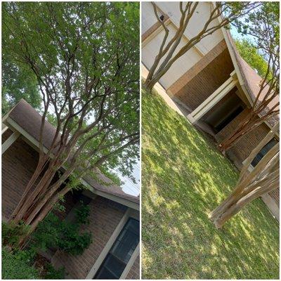 Guil's Tree Services & Landscaping