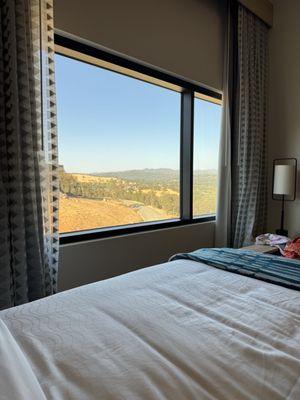 View from standard room.