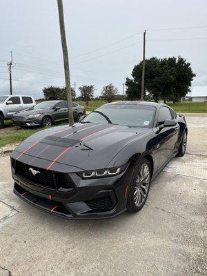 Rally Stripes in carbon Fiber
