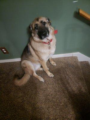 Veteran Precision Cleaning And Painting