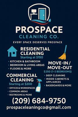 Pro Space Cleaning