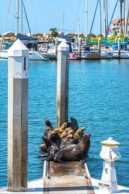 Ken Macdonell Investigations