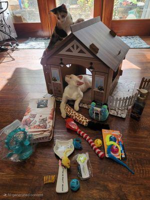 Katy Veterinary Clinic