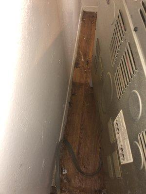 Roaches and food behind the stove