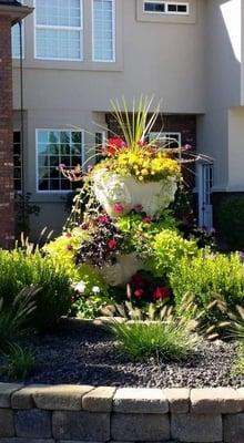 Natural Lawns & Landscape