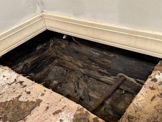 Water Damage & Mold Remediation