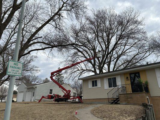 Thate's Tree Service