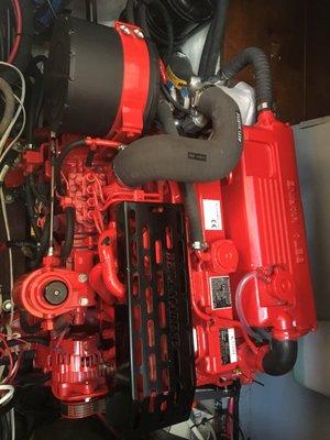 Beta 85 turbo-diesel installed on our Nauticat 43 cutter/ketch. The round black knob on left is the fuel prime pump- no bleeding needed!