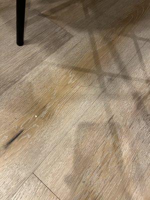 VR 365 Vacation Rentals