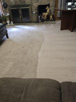 Left to right. Before and after this carpet is probably twenty years old.Bob makes it look new every time...