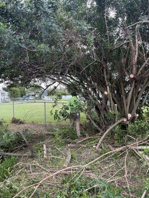 FL Fast & Safe Services